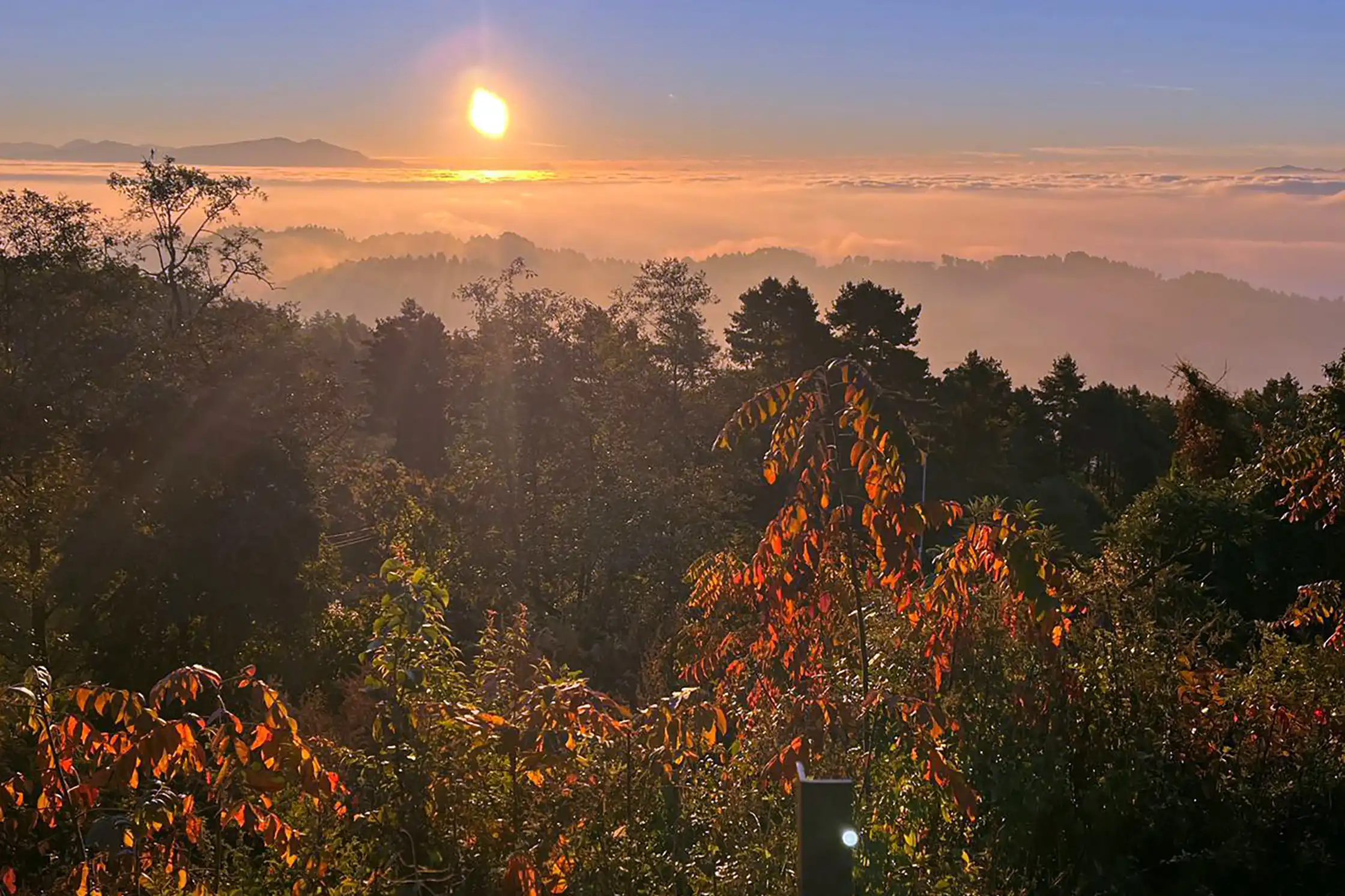 7 Days Kathmandu Valley Trek